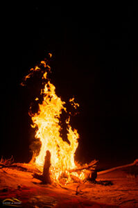 DSC_0067 - feu